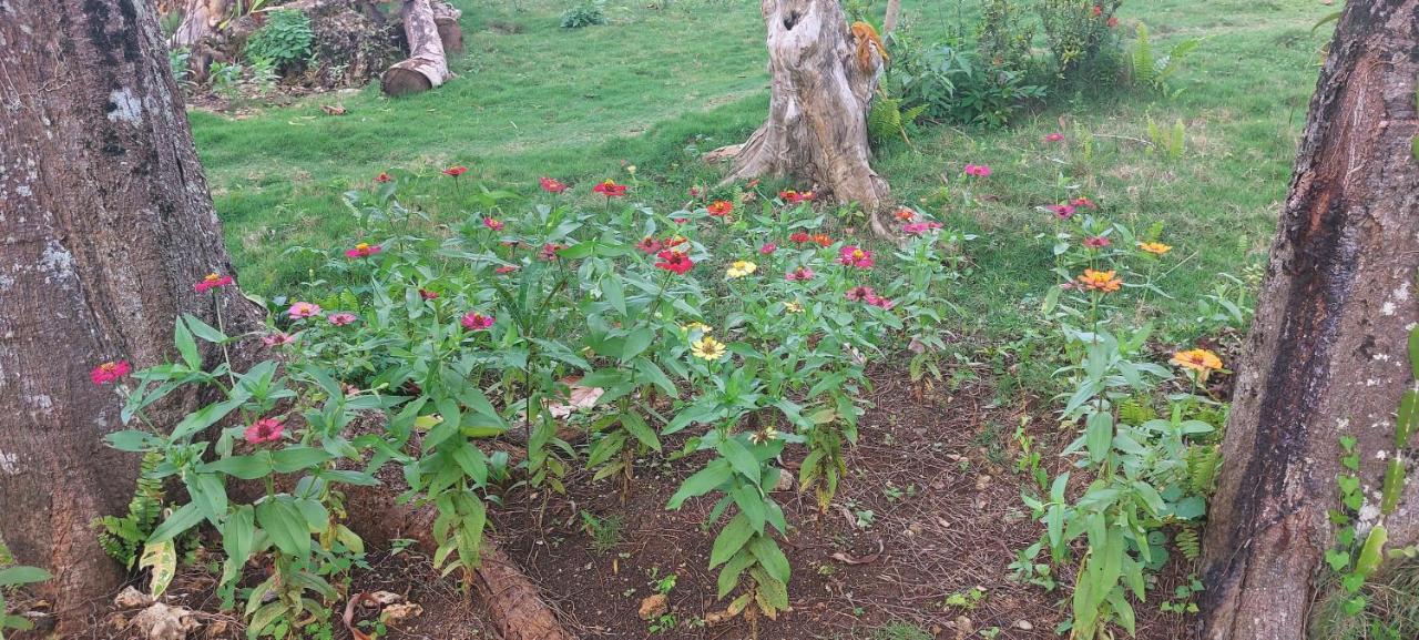 Andnindot Garden Resort Anda  Ngoại thất bức ảnh