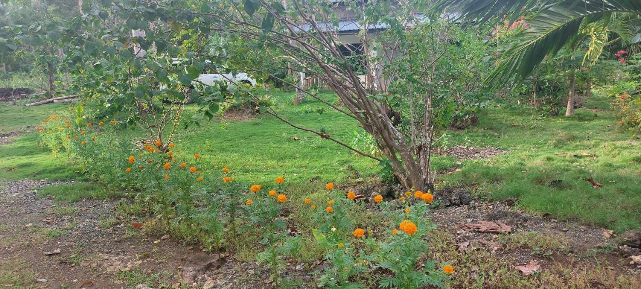Andnindot Garden Resort Anda  Ngoại thất bức ảnh