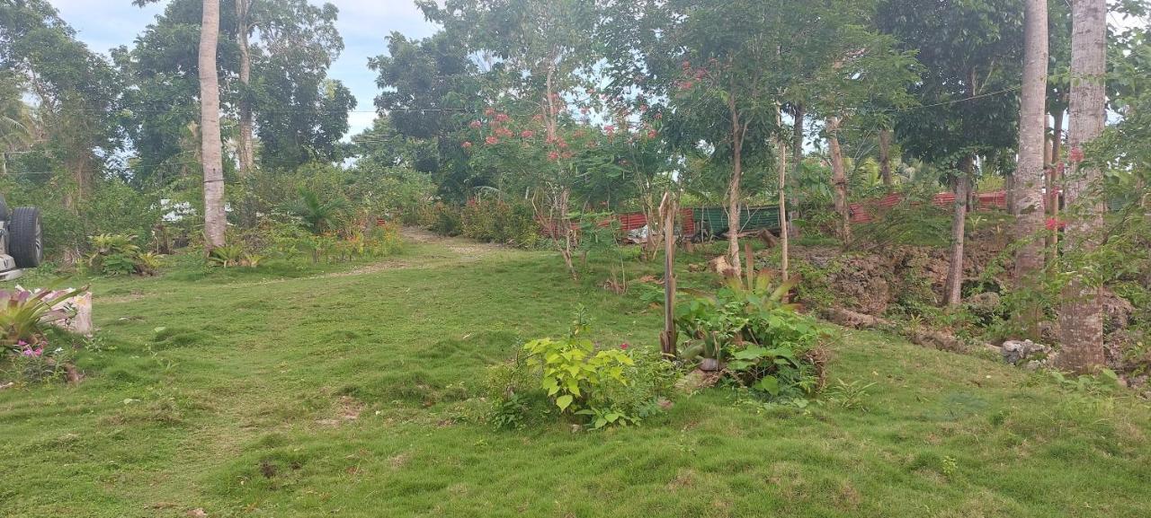 Andnindot Garden Resort Anda  Ngoại thất bức ảnh