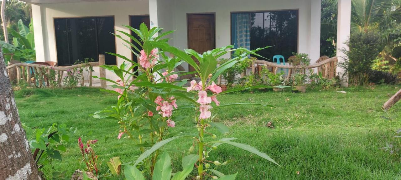 Andnindot Garden Resort Anda  Ngoại thất bức ảnh