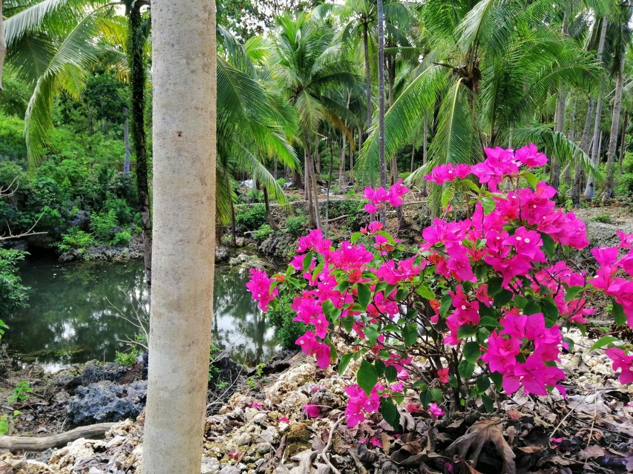Andnindot Garden Resort Anda  Ngoại thất bức ảnh